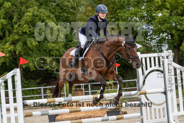 Landesturnier Rheinland, Vielseitigkeit, 22.+23.08.2020