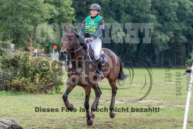 Vielseitigkeit RSV Wesel Obrighoven (26.+27.09.2020)