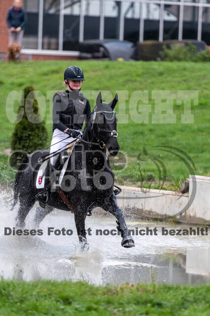 Goldene Schärpe 2020 - Pferde