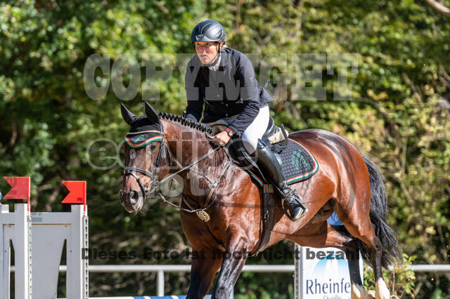 RFV Dinslaken-Hiesfeld (Herbstturnier)