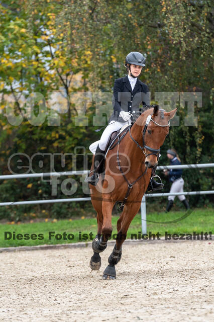 Reiter Schleswig-Holstein