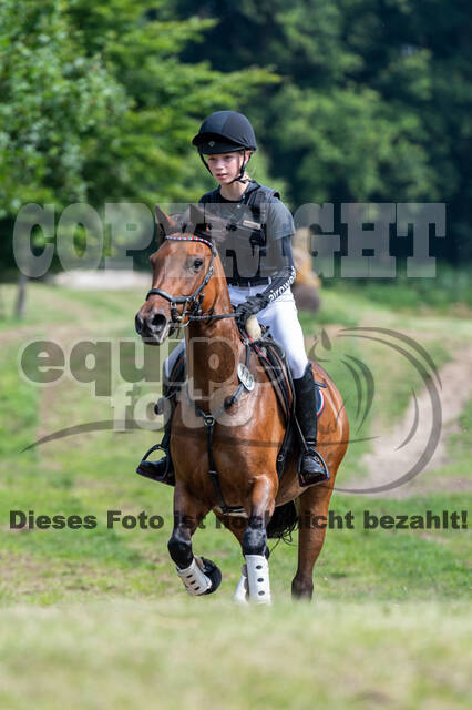 Goldene Schärpe 2021 - Ponys