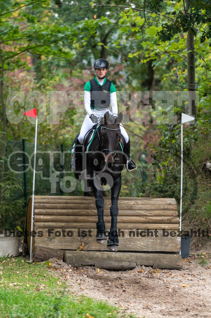 Goldene Schärpe 2020 - Pferde