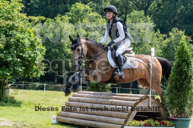 Goldene Schärpe 2021 - Ponys