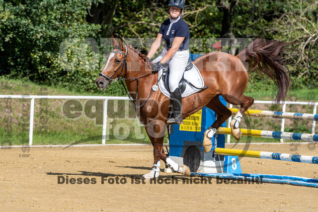 RFV Dinslaken-Hiesfeld (Herbstturnier)