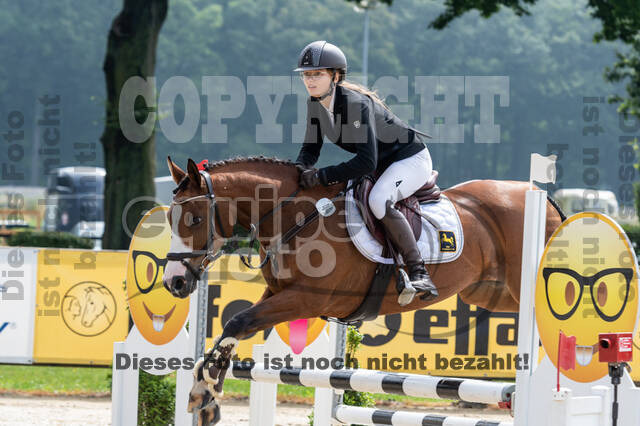 Goldene Schärpe 2021 - Ponys