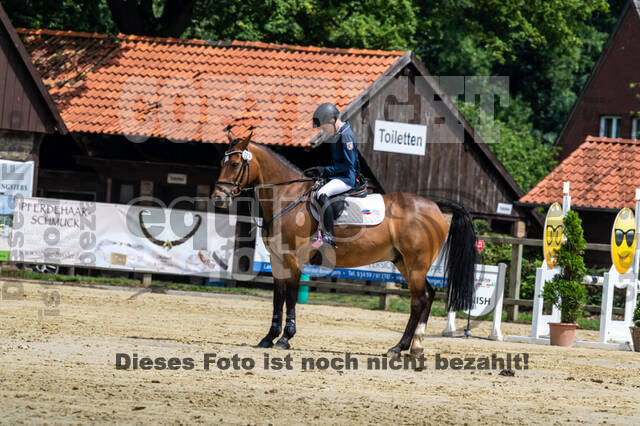 Goldene Schärpe 2021 - Ponys