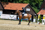 Goldene Schärpe 2021 - Ponys