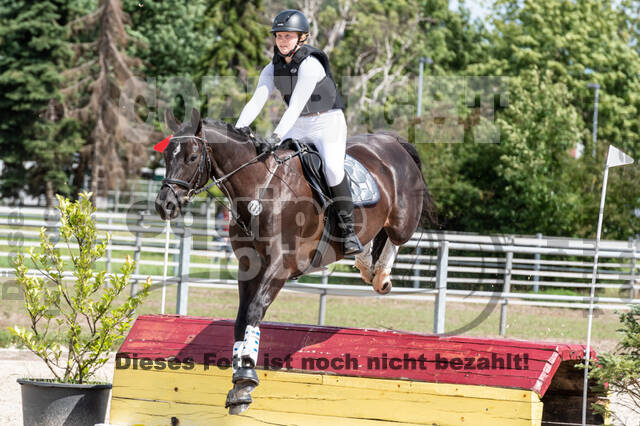 Late-Entry-Vielseitigkeit Langenfeld (06.+07.07.2020)