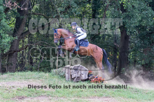 Late-Entry Vielseitigkeit Hamminkeln/Wesel (01.+02.08.2020)