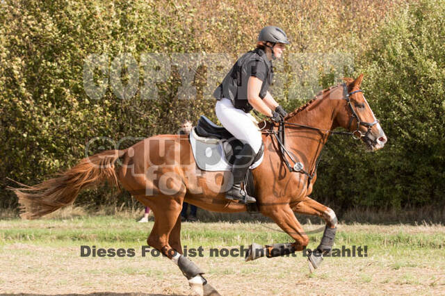 IGV Kleve