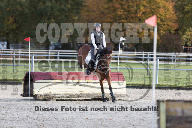 IGV Lehrgang der Sieger der Cups mit Frank Ostholt