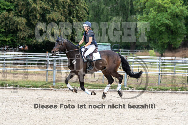 Late-Entry-Vielseitigkeit Langenfeld (11.+13./14.06.2020)