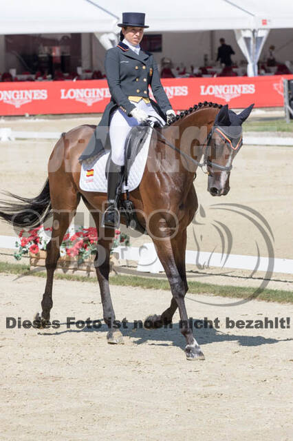 FEI European Championship Eventing 2017