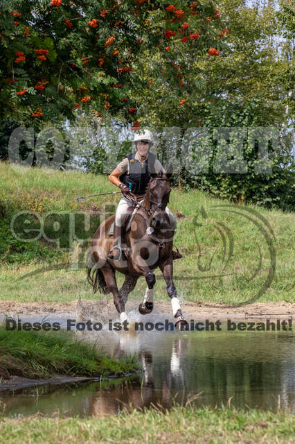 Late-Entry-Vielseitigkeit Gahlen (18.07.2020)