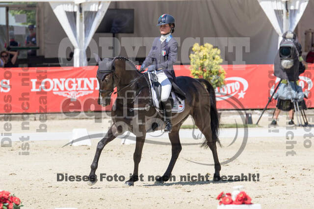 FEI European Championship