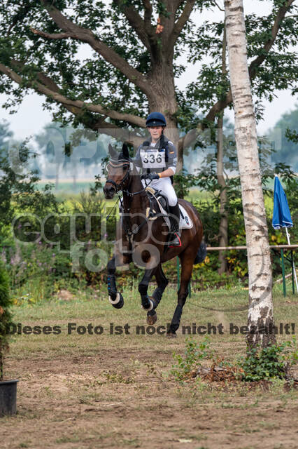 De Peelbergen (August 2020)