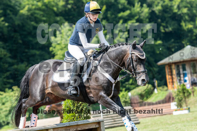 Goldene Schärpe 2021 - Ponys