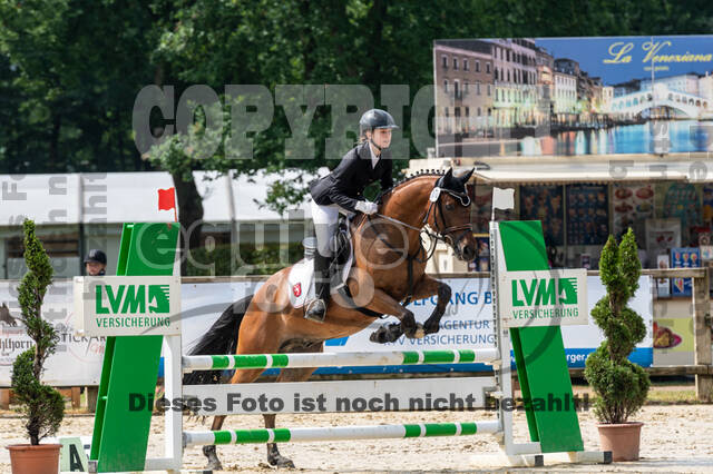Goldene Schärpe 2021 - Ponys