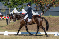 Kronenberg - De Peelbergen (August 2020)