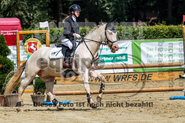 Goldene Schärpe 2021 - Ponys