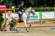 Goldene Schärpe 2021 - Ponys