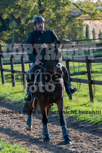 Vielseitigkeitslehrgang mit Jürg Kurbel (9.+10.11.2019)