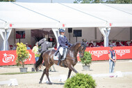 FEI European Championship