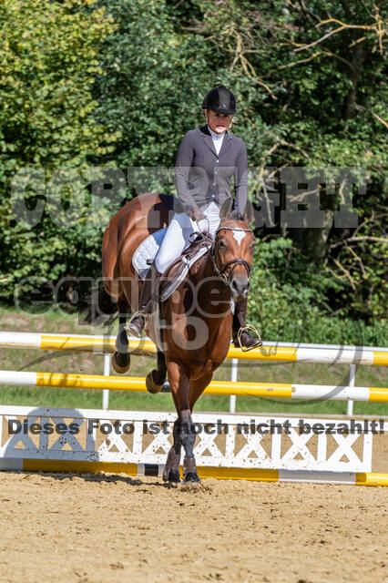 RFV Dinslaken-Hiesfeld (Herbstturnier)