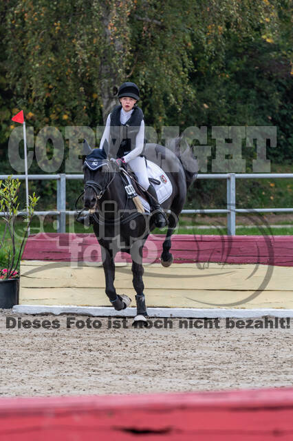 Reiter Schleswig-Holstein