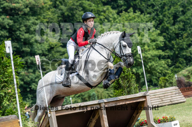 Goldene Schärpe 2021 - Ponys