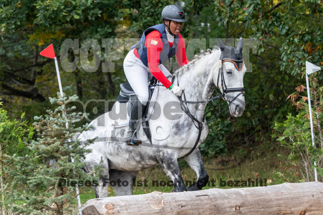 Goldene Schärpe 2020 - Pferde