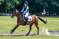 Goldene Schärpe 2021 - Ponys