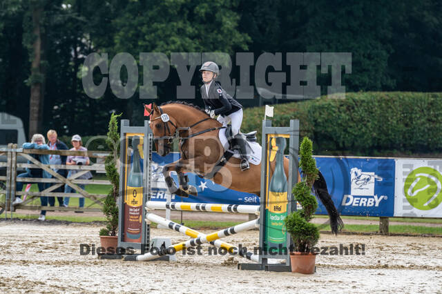 Goldene Schärpe 2021 - Ponys