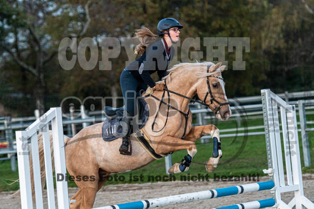 IGV Lehrgang der Sieger der Cups mit Frank Ostholt