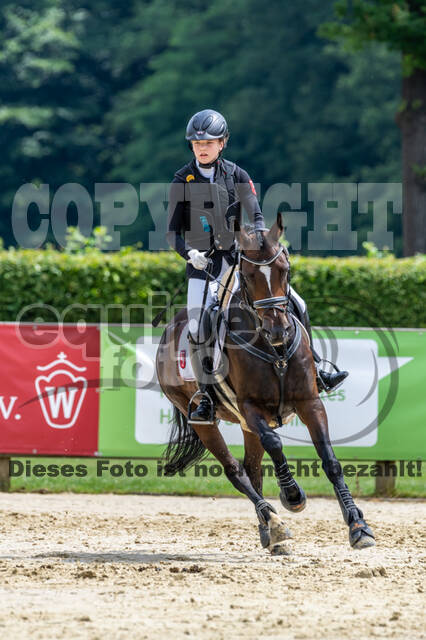 Goldene Schärpe 2021 - Ponys