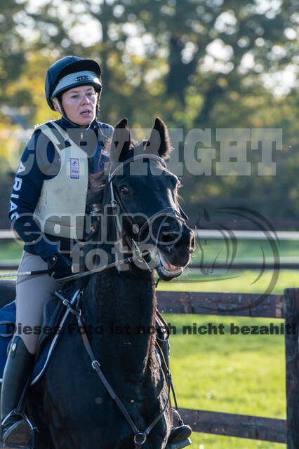 Vielseitigkeitslehrgang mit Jürg Kurbel (9.+10.11.2019)