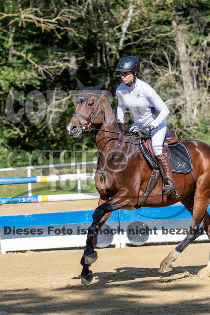 RFV Dinslaken-Hiesfeld (Herbstturnier)