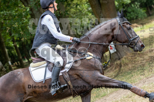 Late-Entry Vielseitigkeit Hamminkeln/Wesel (01.+02.08.2020)