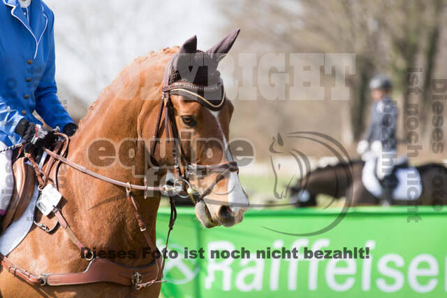 Frühjahrsvielseitigkeit RV Seydlitz Kamp