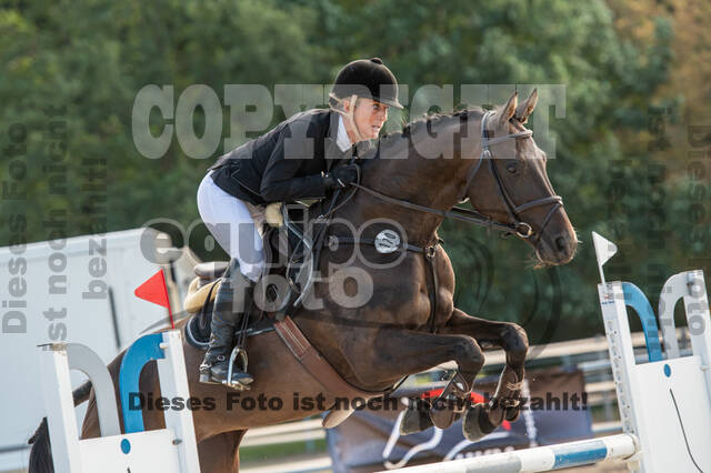 Landesturnier Rheinland, Vielseitigkeit, 22.+23.08.2020