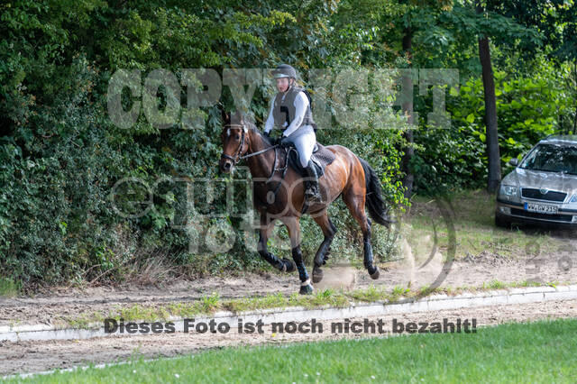 Late-Entry-Vielseitigkeit Langenfeld (11.+13./14.06.2020)