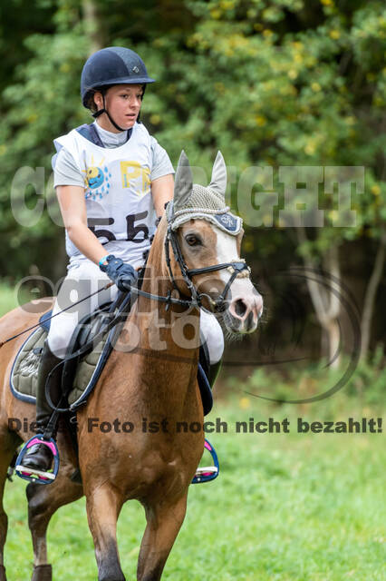 Vielseitigkeit RSV Wesel Obrighoven (26.+27.09.2020)