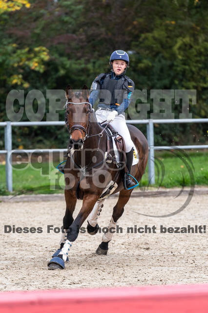 Goldene Schärpe 2020 - Pferde