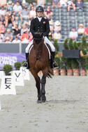 FEI European Championship Eventing 2019