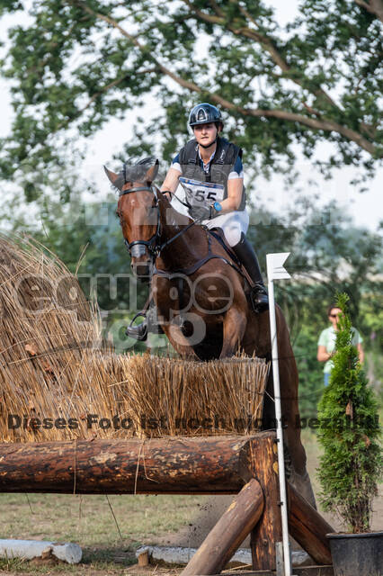 De Peelbergen (August 2020)