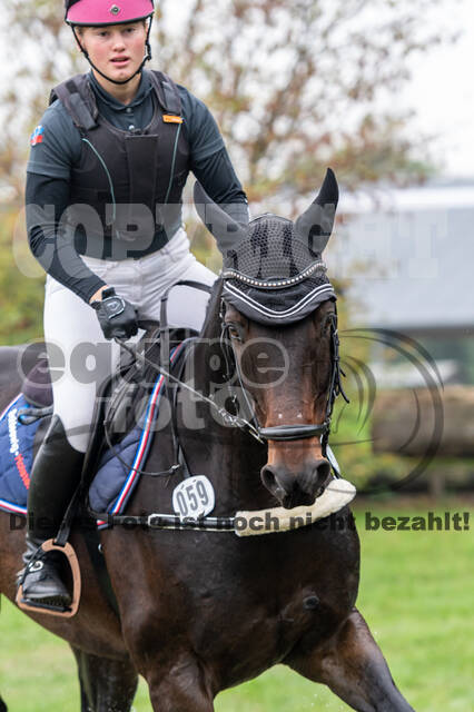 Reiter Schleswig-Holstein