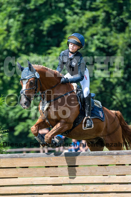 Goldene Schärpe 2021 - Ponys