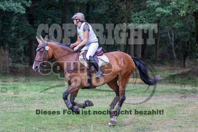 Late-Entry Vielseitigkeit Hamminkeln/Wesel (01.+02.08.2020)