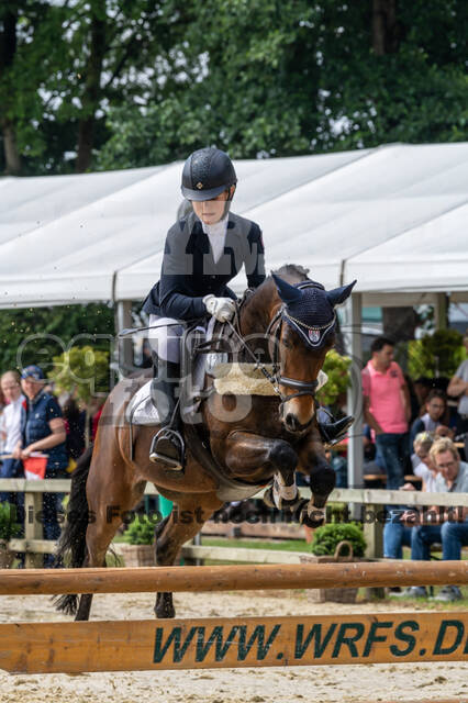 Goldene Schärpe 2021 - Ponys